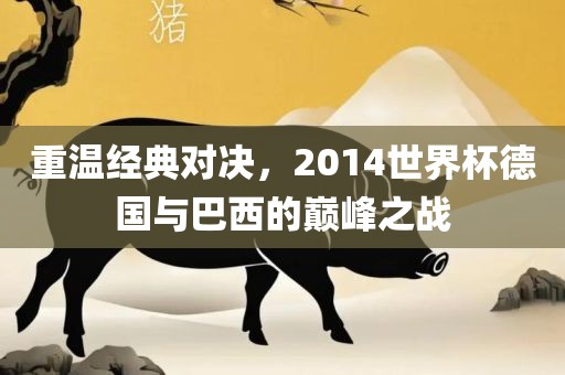 重温经典对决，2014世界杯德国与巴西的巅峰之战