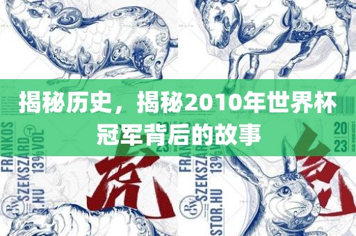 揭秘历史，揭秘2010年世界杯冠军背后的故事