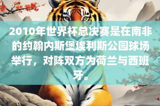 2010年世界杯总决赛是在南非的约翰内斯堡埃利斯公园球场举行，对阵双方为荷兰与西班牙。