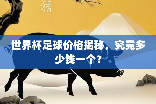 世界杯足球价格揭秘，究竟多少钱一个？