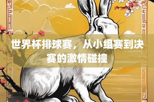 世界杯排球赛，从小组赛到决赛的激情碰撞