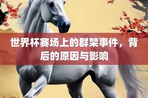 世界杯赛场上的群架事件，背后的原因与影响