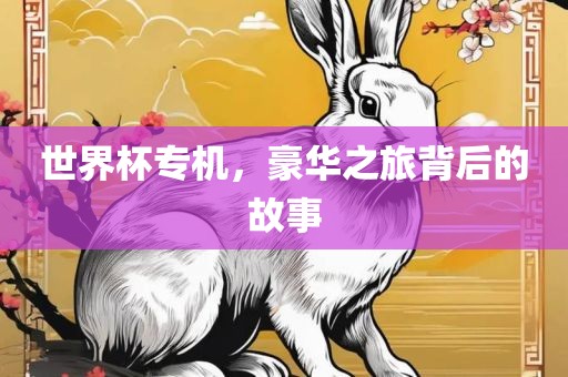 世界杯漯河市盈旭机械设备有限公司专机，豪华之旅背后的故事