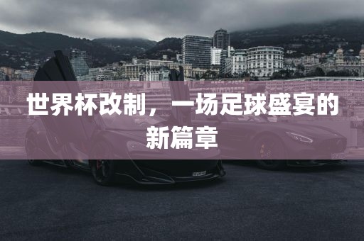 足球盛宴 第9页