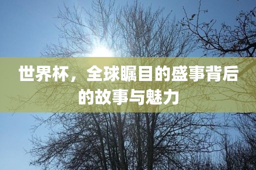 世界杯，全球瞩目的盛事背后的故事与魅力