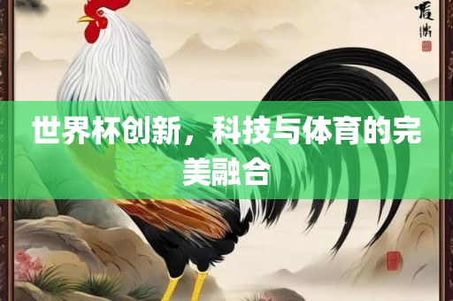 世界杯创新，科技与体育的完美融合