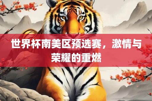世界杯南美区预选赛，激情与荣耀的重燃
