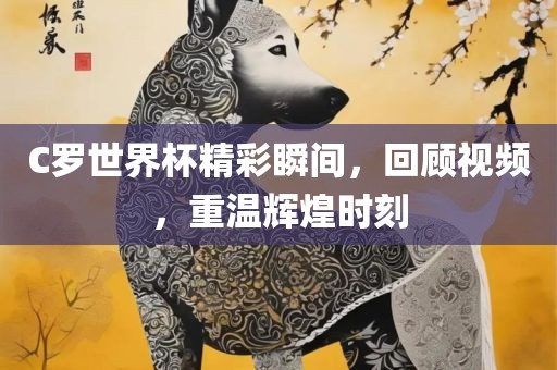 C罗世界杯精彩瞬间，回顾视频，重温辉煌时刻