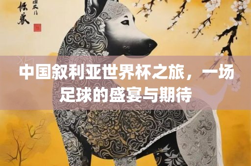 中国叙利亚世界杯之旅漯河市盈旭机械设备有限公司，一场足球的盛宴与期待