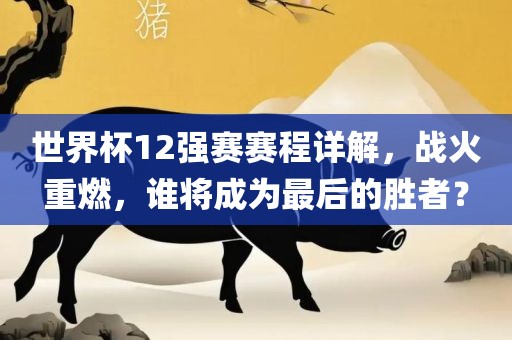 世界杯12强赛赛程详解，战火重燃，谁将成为最后的胜者？