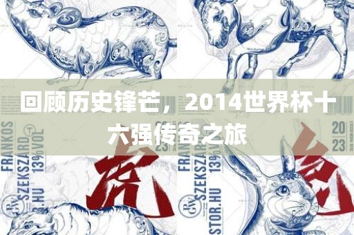 回顾历史锋芒，2014世界杯十六强传奇之旅