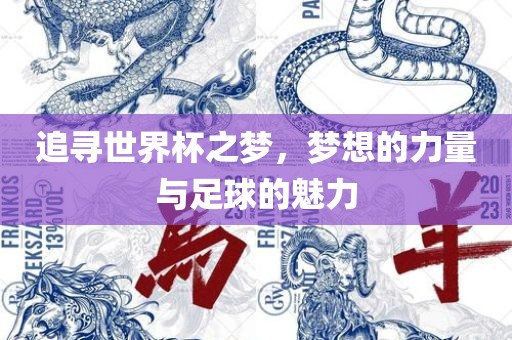 追寻世界杯之梦，梦想的力量与足球的魅力