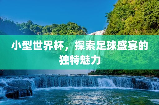 小型世界杯，探索足球盛宴的独特魅力