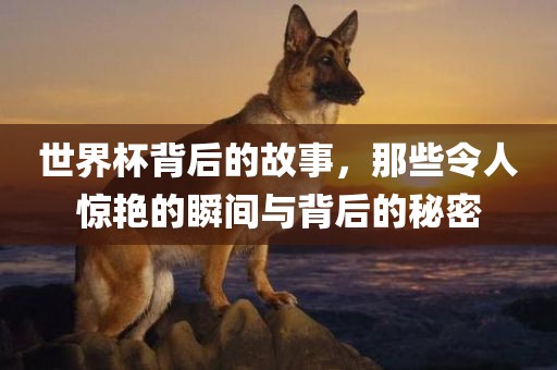 世界杯背后的故事，那些令人惊艳的瞬间与背后的秘密