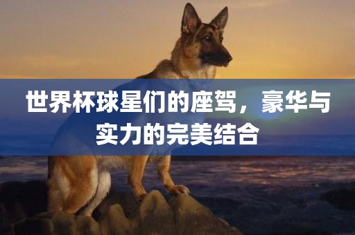 世界杯球星们的座驾，豪华与实力的完美结合