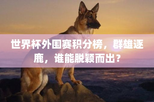 世界杯外围赛积分榜，群雄逐鹿，谁能脱颖而出？