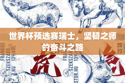 世界杯预选赛瑞士，坚韧之师的奋斗之路