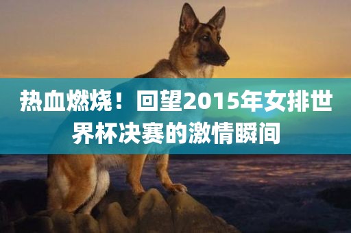 热血燃烧！回望2015年女排世界杯决赛的激情瞬间
