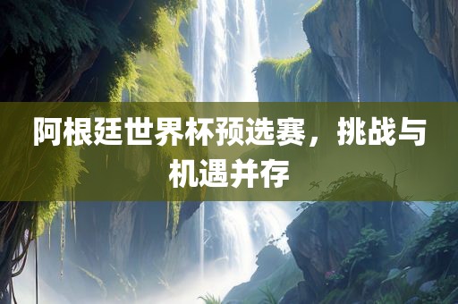 阿根廷世界杯预选赛，挑战与机遇并存