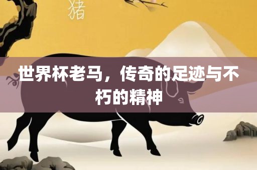 世界杯老马，传奇的足迹与不朽的精神