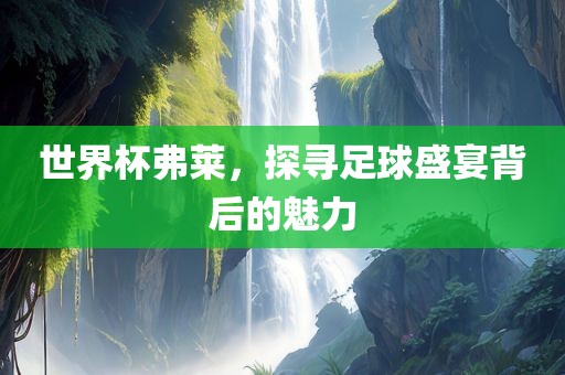 世界杯弗莱，探寻足球盛宴背后的魅力