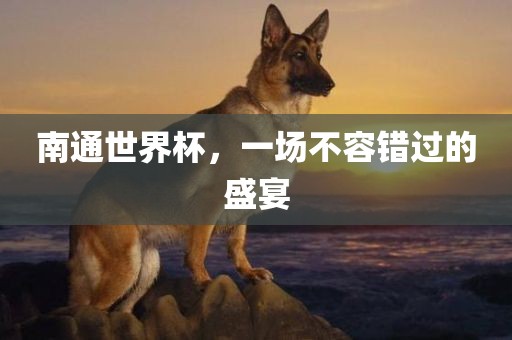 南通世界杯，一场不容错过的盛宴