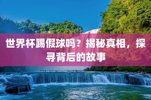 世界杯踢假球吗？揭秘真相，探寻背后的故事