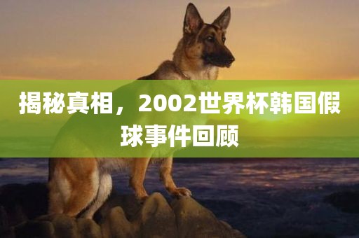 揭秘真相，2002世界杯韩国假球事件回顾