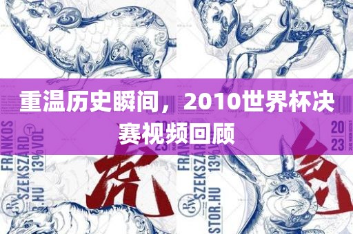 重温历史瞬间，2010世界杯决赛视频回顾