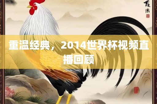 重温经典，2014世界杯视频直播回顾