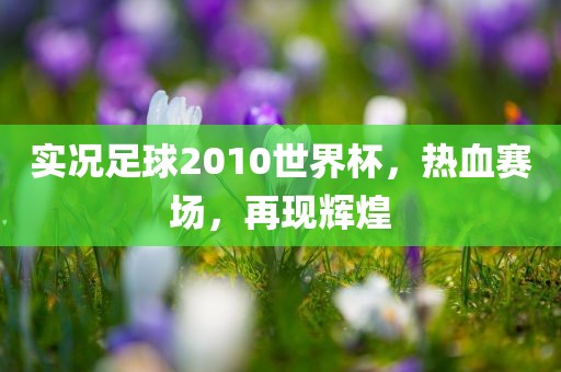 实况足球2010世漯河市盈旭机械设备有限公司界杯，热血赛场，再现辉煌