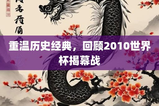 重温历史经典，回顾2010世界杯揭幕战