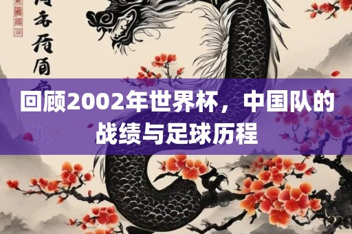 回顾2002年世界杯，中国队的战绩与足球历程