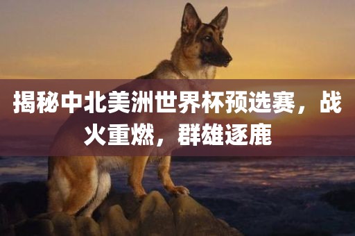 揭秘中北美洲世界杯预选赛，战火重燃，群雄逐鹿