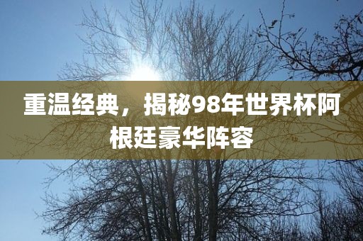重温经典，揭秘98年世界杯阿根廷豪华阵容