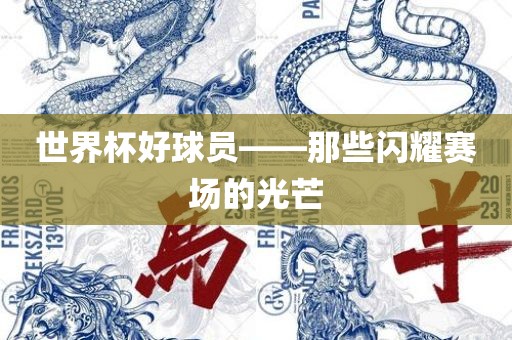 世界杯好球员——那些闪耀赛场的光芒