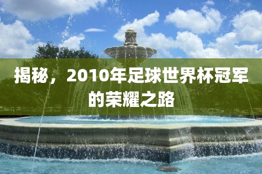 揭秘，2010年足球世界杯冠军的荣耀之路