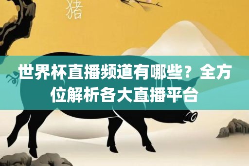 世界杯直播频道有哪些？全方位解析各大直播平台