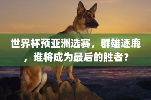 世界杯预亚洲选赛，群雄逐鹿，谁将成为最后的胜者？