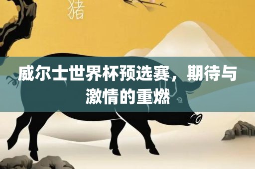 威尔士世界杯预选赛，期待与激情的重燃