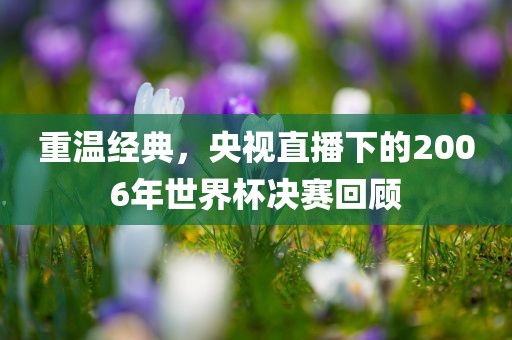 重温经典，央视直播下的2006年世界杯决赛回顾
