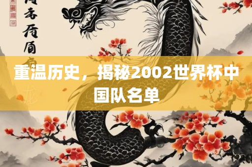重温历史，揭秘2002世界杯中国队名单