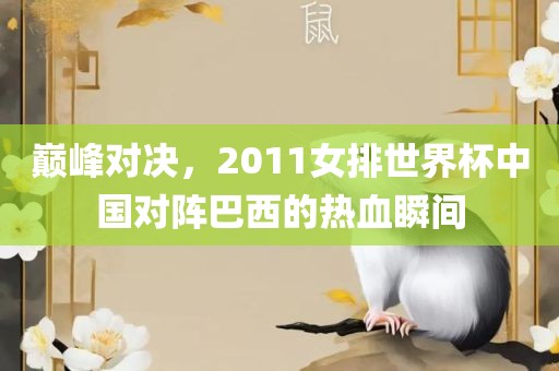 巅峰对决漯河市盈旭机械设备有限公司，2011女排世界杯中国对阵巴西的热血瞬间