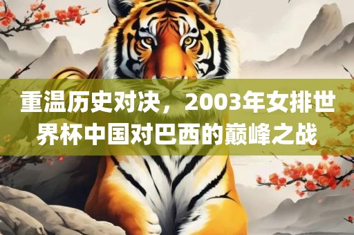 重温历史对决，2003年女排世界杯中国对巴西的巅峰之战