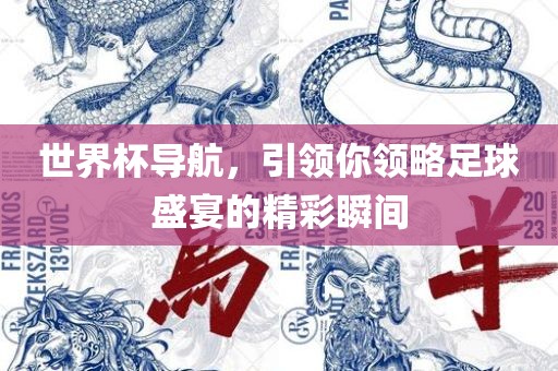 世界杯导航，引领你领略足球盛宴的精彩瞬间