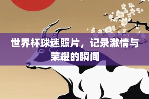 世界杯球迷照片，记录激情与荣耀的瞬间