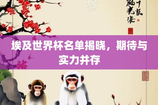 埃及世界杯名单揭晓，期待与实力并存
