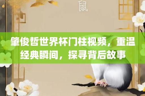 肇俊哲世界杯门柱视频，重温经典瞬间，探寻背后故事