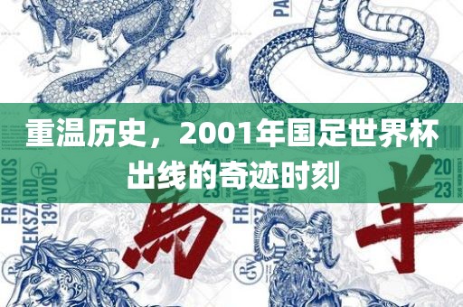 重温历史，2001年国足世界杯出线的奇迹时刻