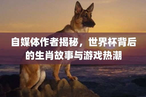 自媒体作者揭秘，世界杯背后的生肖故事与游戏热潮